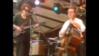 Marc Johnson's Bass Desires - Wiesen, Austria, 1988-07-10