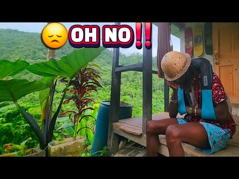 Tristi notizie! Problemi con la rete elettrica! Aggiornamento della costruzione della baita (bagno)