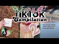 Fairy TikTok compilation #2!|fairytok|tiktok trend