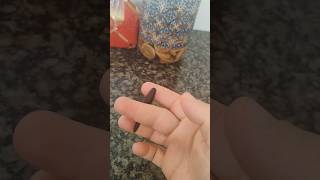 Impressionante, já tinha pensado nisso ? #escola #familia #humor