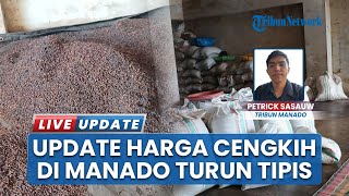 Harga Cengkih di Kota Manado Relatif Stabil, Turun Tipis ke Rp114.500 per Kilogram