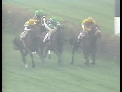 1994 Early Times Turf Classic - Lure -vs- Paradise Creek