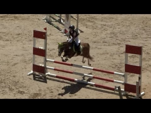 Malu (6) und Senna, Springreiter-WB am 14.06.2015