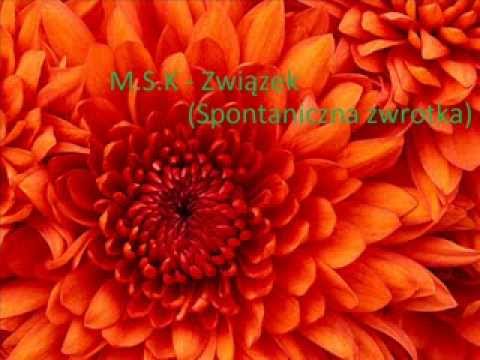 M.S.K - Związek (Spontaniczna zwrotka)