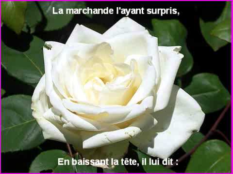"Les Roses Blanches" pour MAMAN