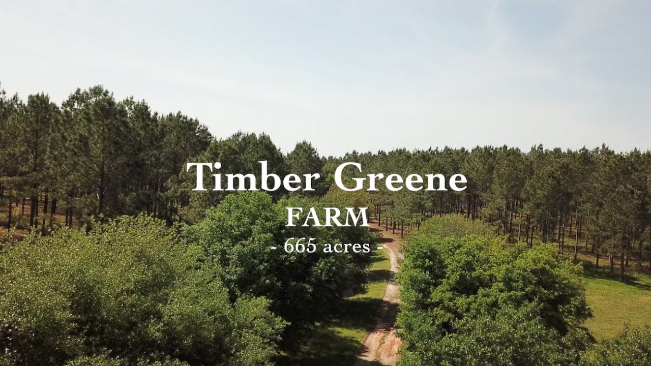 Timber Greene Farms