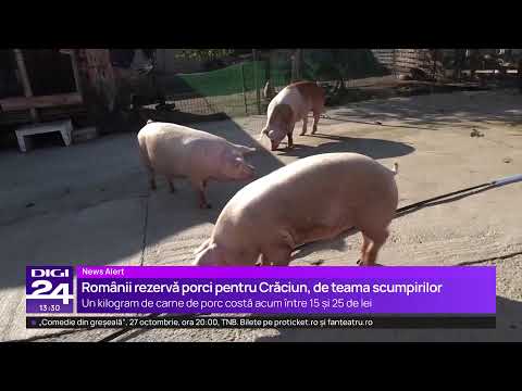 🟣 Știrile Digi24 de la ora 13 – 13 octombrie 2025