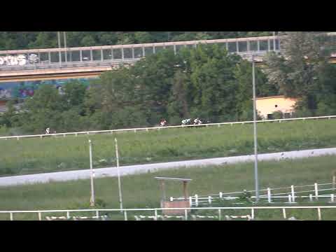 Sedma trka Beograd 21.05.2023 TRIAL STAKES
