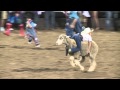 Spanish Fork Rodeo Mutton Busting