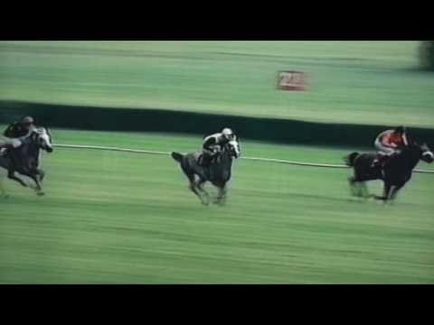 Nagroda Kabareta - 14.06.1997 - Druid (Wojsław - Dalida)