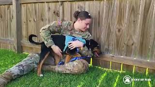 US Army Veteran Reunited With Stray Puppy She Cared For While Serving Overseas