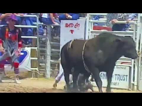 PBR PREMIERE SERIES CLASSIC DEL RIO 97 “ 🏆 CHAMPIONSHIP ROUND FULL RIDE HIGHLIGHTS #viral #video