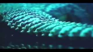 PSYCHE - Unveiling The Secret [Official Video] HQ