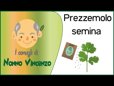 Trattamento moderno della prostata Trattamenti prostatite cronica