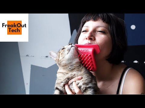 5 Incredible Inventions For Your Cat #12 ✔ Video