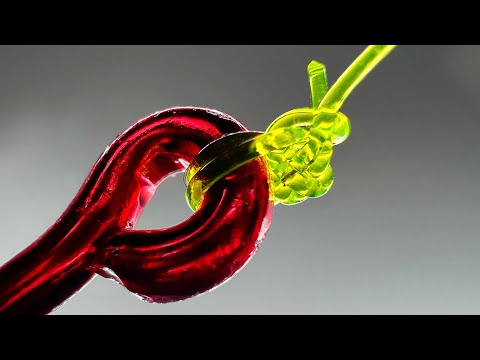 Palomar Knot - How to Tie the Strongest Fishing Knot