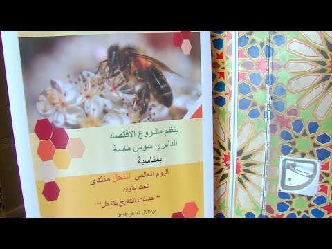 Agadir: Forum sur les services de pollinisation des abeilles