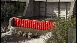 Download lagu Frontier Flood Barrier - Noaq Low Weight Easy to Use mp3 Download lagu Frontier Flood Barrier - Noaq Low Weight Easy to Use mp3