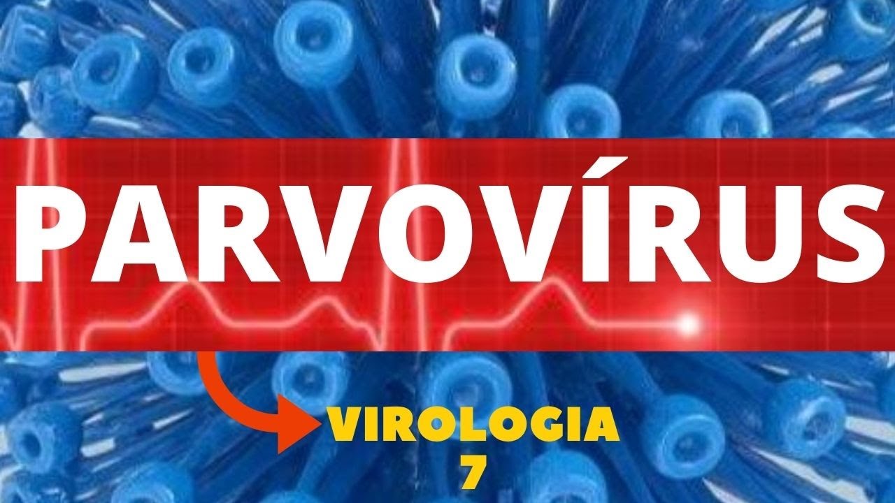 PARVOVÍRUS - VIROLOGIA - AULA 7