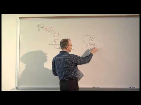 Neurology localization part 1