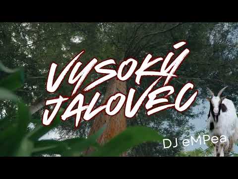 Vysoký Jalovec (remix 2025 DJ eMPea) #remix #edmforever #vysokyjalovec #music