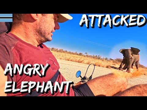 Face to Face with Death 🇧🇼 vA 144