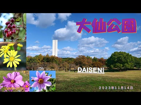 Parque Daisen (14 de novembro de 2023)