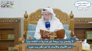 4243 - لا يضمن رب بهيمة غير ضارية ما أتلفته نهاراً من الأموال والأبدان إذا لم تكن يده عليها