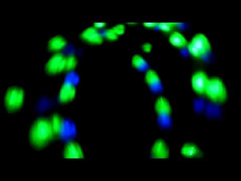 muscle rollers, feed me feat. kill the noise