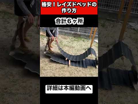 なぜレイズドベッドガーデニングを実践するのか、そしてスタンディングベッドの作り方は何ですか?  庭園