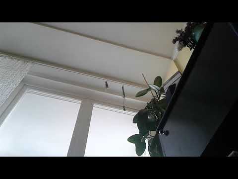 Beyblade battle(Kerbeus K1 vs. Valtryek V1)