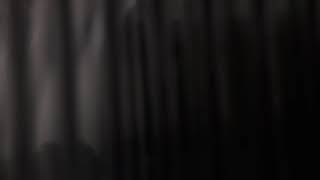 They might be giants - if I wasn't shy