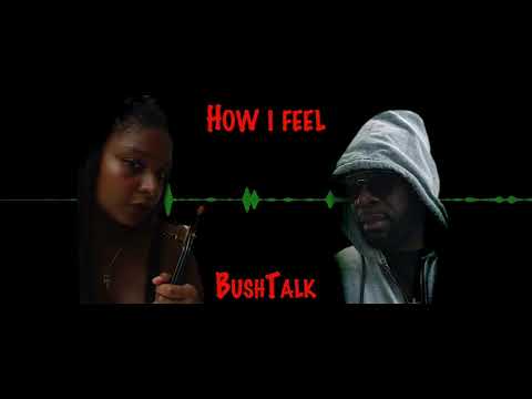 Bushtalk - How I feel (official Audio)