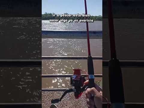 claro JAJAJAJ #pesca #pesca #viral #santafe #paraná