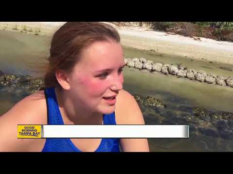 Hurricane Irma polluted our bay, beaches; help needed for big clean-up this weekend