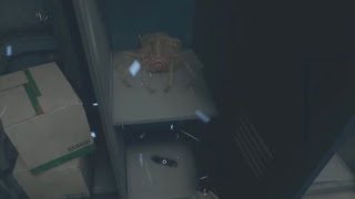 遊びたかったAlien: Rogue Incursion13