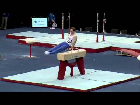 DAN PURVIS -POMMEL - 2013 BRITISH CHAMPS APPARATUS FINALS