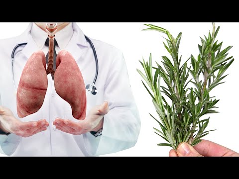 How to clear Mucus from your Lungs and Throat with phlegm removal! Rosemary