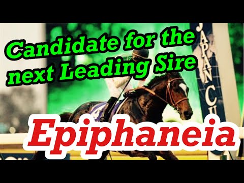 Epiphaneia（エピファネイア）, introduce the great horse of Japan