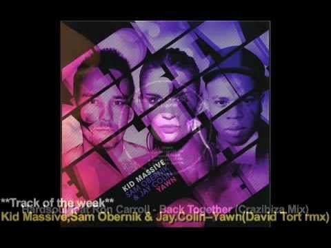 What's New In House-Top10(1-6-12)TRACK OF THE WEEK Kid Massive -- Yawn (David Tort remix)