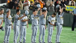 【阪神激怒】藤川球児監督が広島へ異例の警告！相次ぐ死球に「我慢も限界」才木快投で2連勝＆貯金10！阪神vs広島