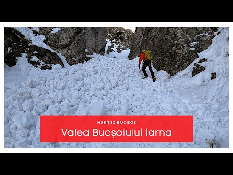 Valea Bucșoiului