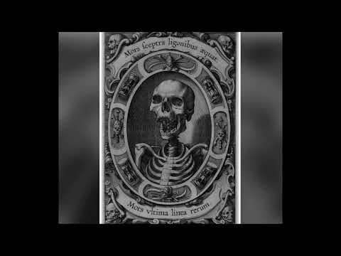 Giorgio Mainerio: Schiarazula Marazula