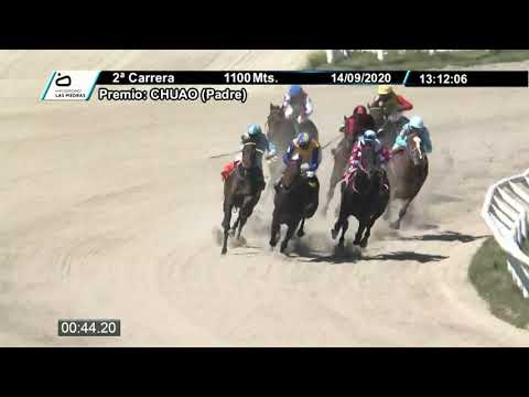 LP 200914 c02 - SILVER GLORY 1º