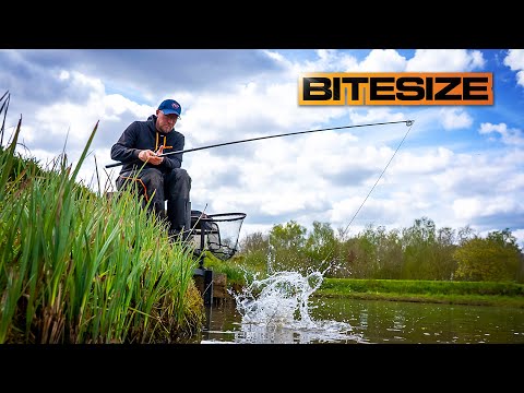 Margin Fishing For F1's | Andy Bennett