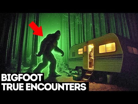 3+ Hours Bigfoot ULTRA MARATHON | Bigfoot Documentary | Bigfoot Encounters |  Vol 91 #bigfoot 2024