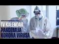 TV Kalendar Pandemija Korona Virusa