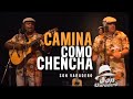 Camina  como Chencha -  Son Varadero