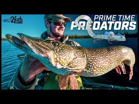Catch More Fall Pike and Musky | Lures and Live Bait Tactics