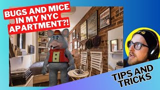 Keep your NYC apartment bug-free with these amazing prevention methods for mice, roaches, and bugs!